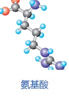 安善貿(mào)易
